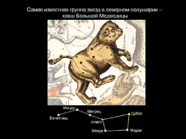 Самая известная группа звезд в северном полушарии – ковш Большой Медведицы 