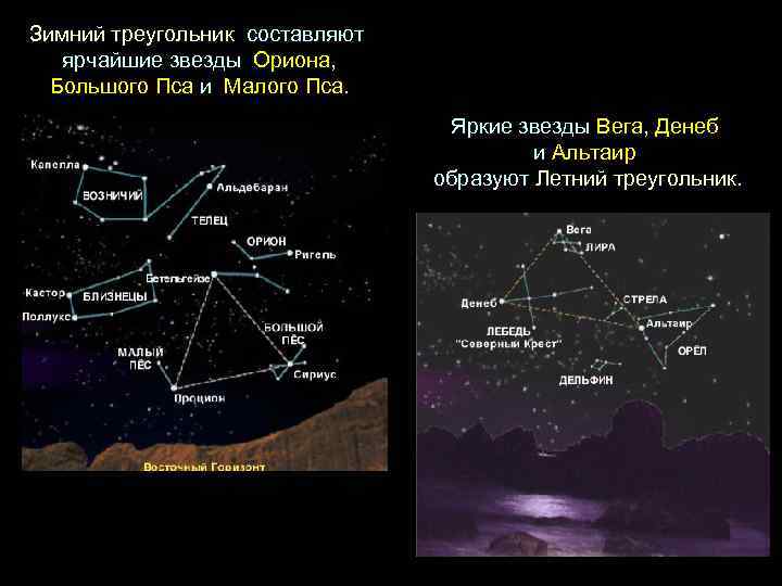 Зимний треугольник составляют ярчайшие звезды Ориона, Большого Пса и Малого Пса. Яркие звезды Вега,