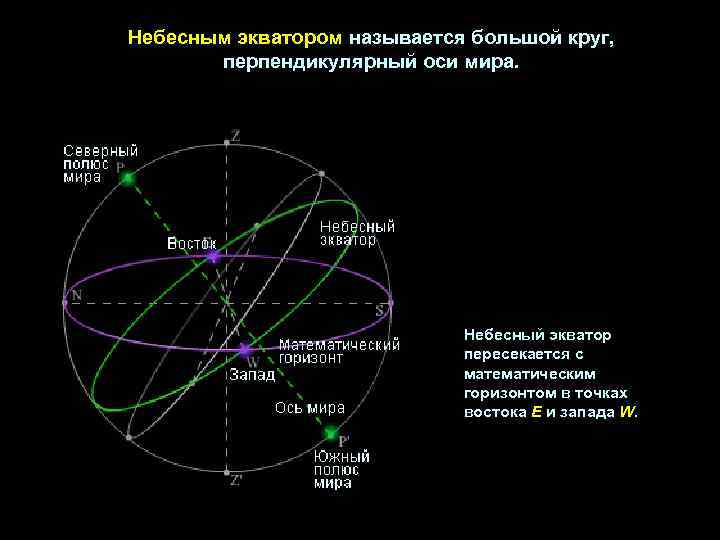 Небесным экватором называется большой круг, перпендикулярный оси мира. Небесный экватор пересекается с математическим горизонтом