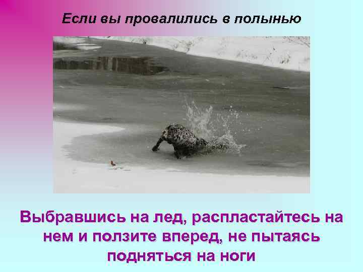 Если вы провалились в полынью Выбравшись на лед, распластайтесь на нем и ползите вперед,