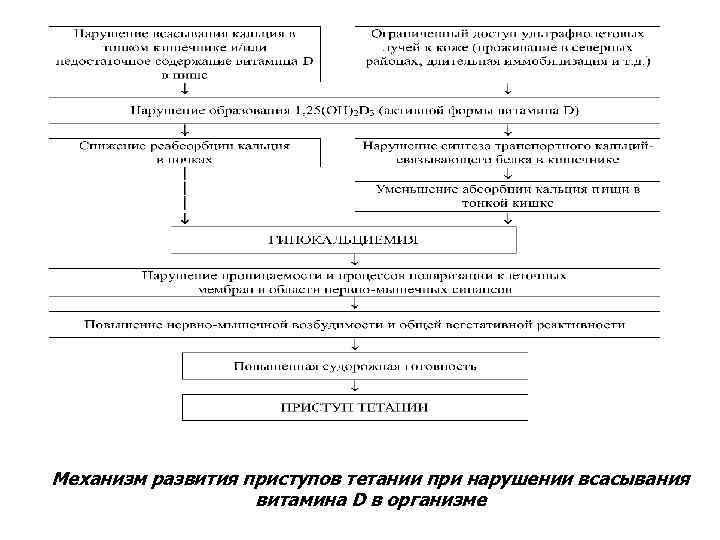 Механизм развития приступов тетании при нарушении всасывания витамина D в организме 