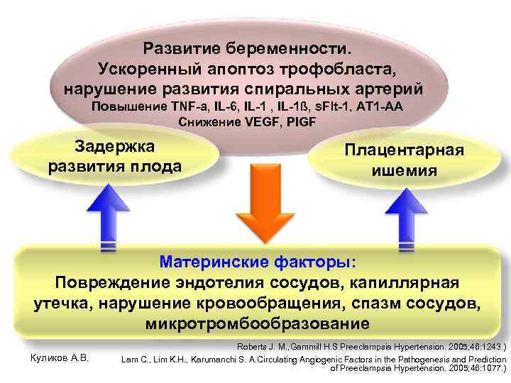 Развитие беременности. Ускоренный апоптоз трофобласта, нарушение развития спиральных артерий Повышение TNF-a, IL-6, IL-1ß, s.