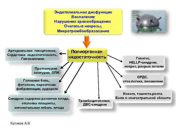 Эндотелиальная дисфункция Воспаление Нарушения кровообращения Очаговые некрозы, Микротромбообразование Артериальная гипертензия, Сердечная недостаточность, Гиповолемия Полиорганная