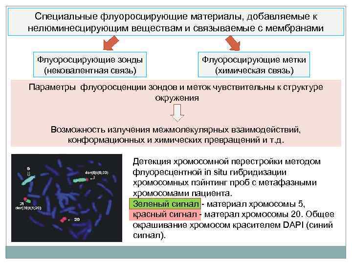 Вирус в биологическом плане представляет собой