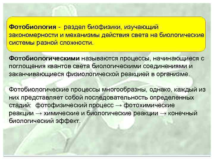Фотобиология - раздел биофизики, изучающий закономерности и механизмы действия света на биологические системы разной