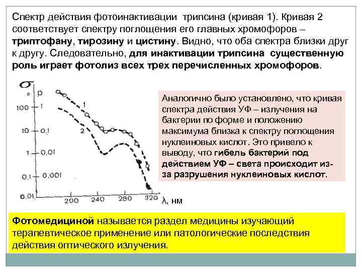 Вирус в биологическом плане представляет собой