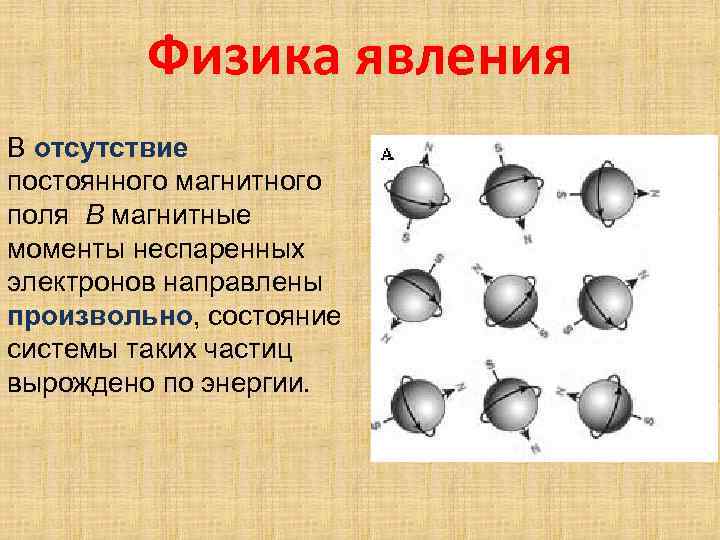 Физика явления В отсутствие постоянного магнитного поля В магнитные моменты неспаренных электронов направлены произвольно,