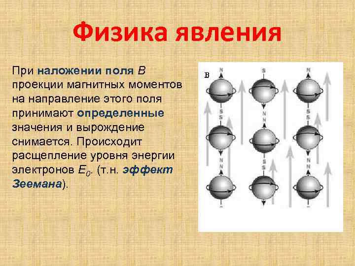 Физика явления При наложении поля В проекции магнитных моментов на направление этого поля принимают