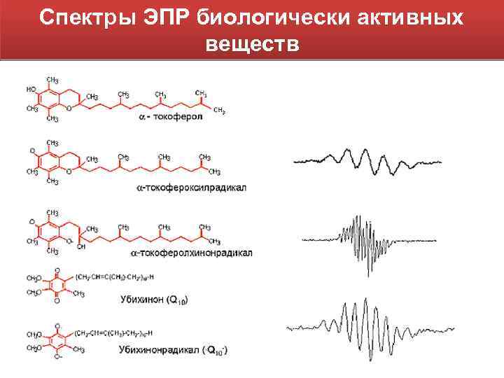 Спектры ЭПР биологически активных веществ 