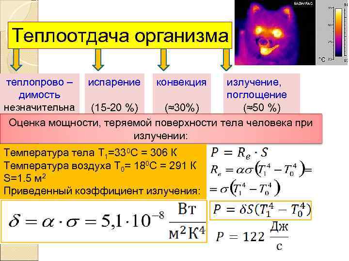 Тепловое излучение примеры