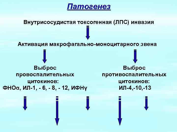 Патогенез Внутрисосудистая токсогенная (ЛПС) инвазия Активация макрофагально-моноцитарного звена Выброс провоспалительных цитокинов: ФНОα, ИЛ-1, -