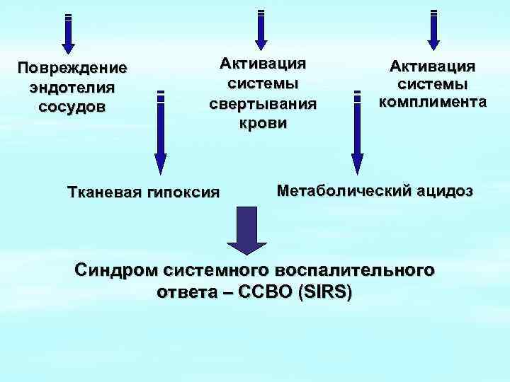 Повреждение эндотелия сосудов Активация системы свертывания крови Тканевая гипоксия Активация системы комплимента Метаболический ацидоз