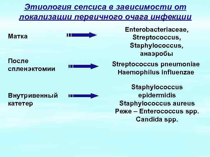 Этиология сепсиса в зависимости от локализации первичного очага инфекции Матка После спленэктомии Внутривенный катетер