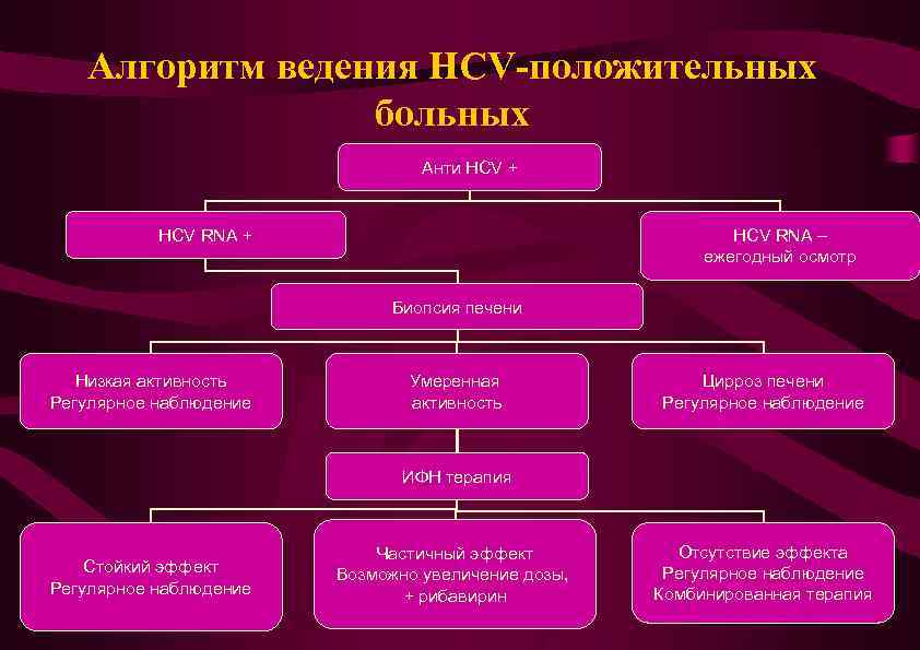 Алгоритм ведения HCV-положительных больных Анти HCV + HCV RNA – ежегодный осмотр Биопсия печени