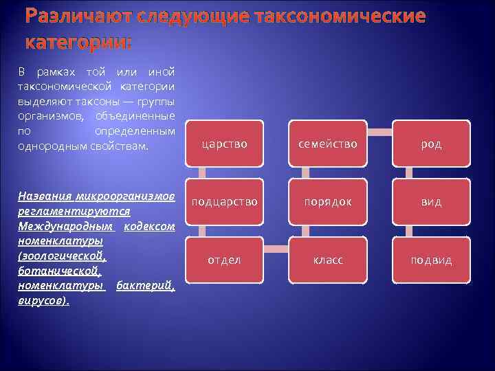 Различают следующие таксономические категории: В рамках той или иной таксономической категории выделяют таксоны —