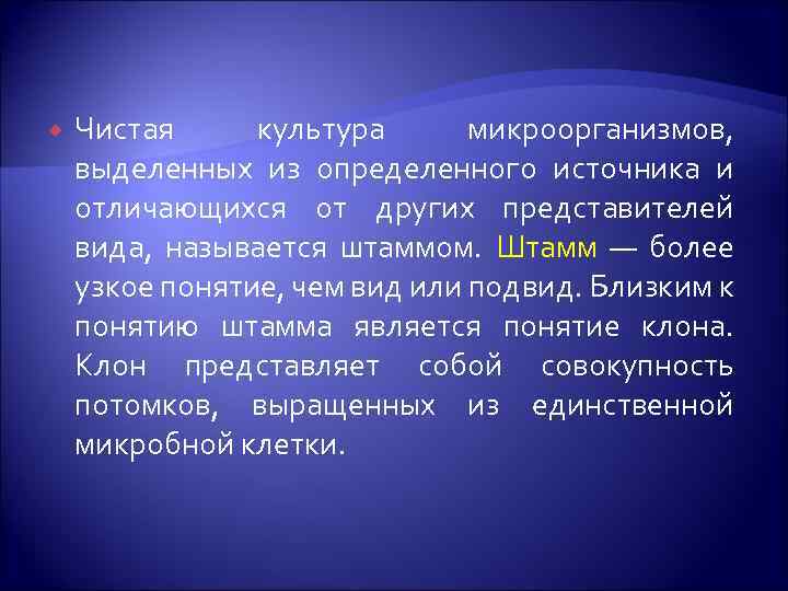 Чистая культура микроорганизмов, выделенных из определенного источника и отличающихся от других представителей вида,