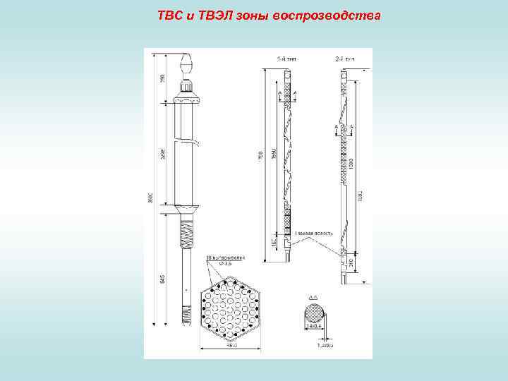 ТВС и ТВЭЛ зоны воспрозводства 