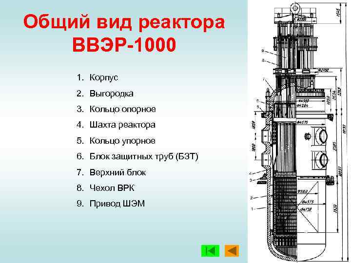 Схема реактора ввэр 1000