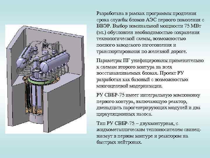 Разработана в рамках программы продления срока службы блоков АЭС первого поколения с ВВЭР. Выбор