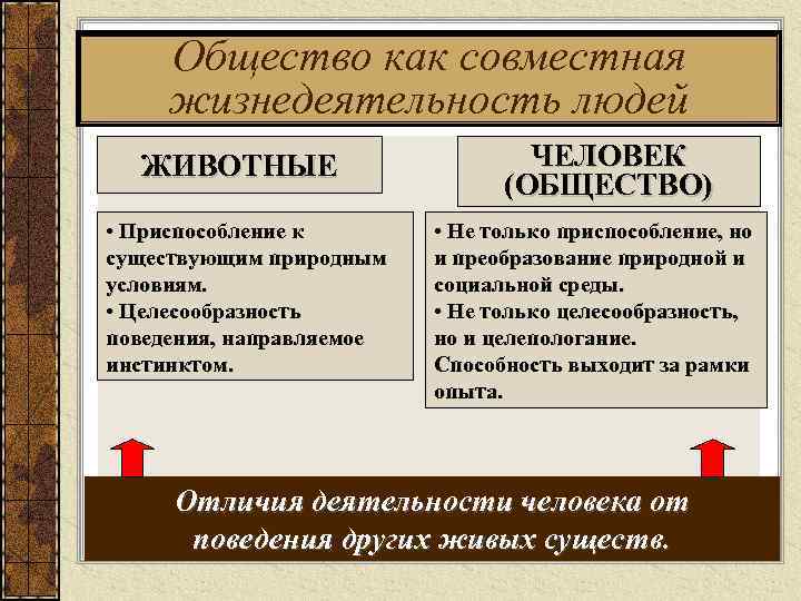Общество как совместная жизнедеятельность людей ЖИВОТНЫЕ • Приспособление к существующим природным условиям. • Целесообразность