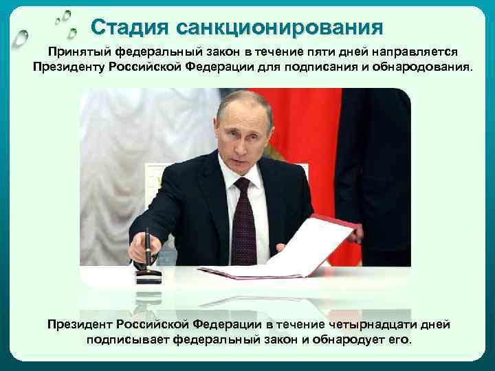 Стадия санкционирования Принятый федеральный закон в течение пяти дней направляется Президенту Российской Федерации для