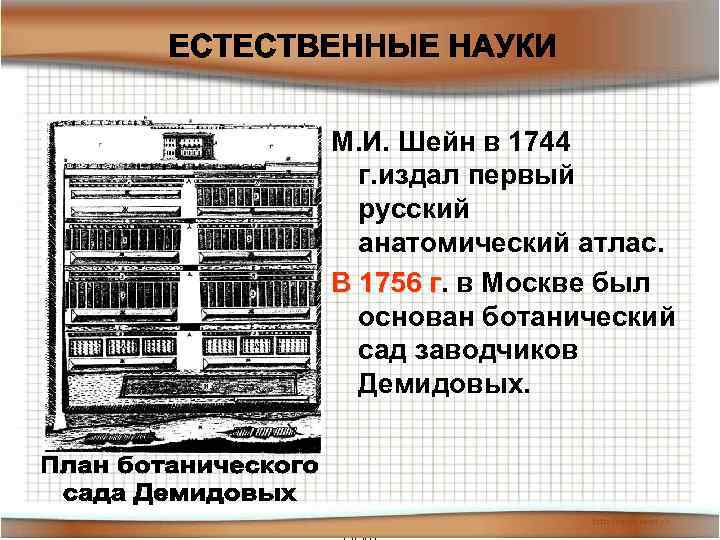 М. И. Шейн в 1744 г. издал первый русский анатомический атлас. В 1756 г.