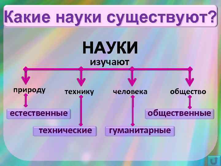 Какие виды рисунка существуют