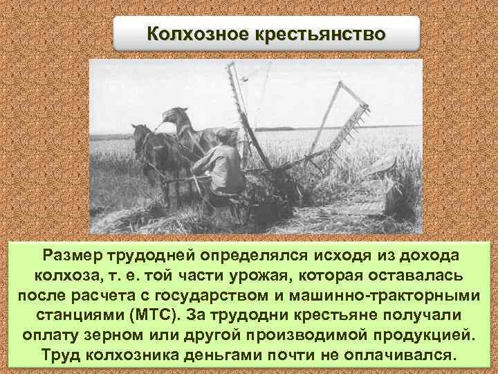 Колхозное крестьянство Размер трудодней определялся исходя из дохода колхоза, т. е. той части урожая,