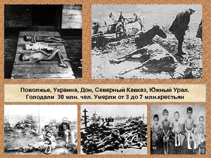 Поволжье, Украина, Дон, Северный Кавказ, Южный Урал. Голодали 30 млн. чел. Умерли от 3