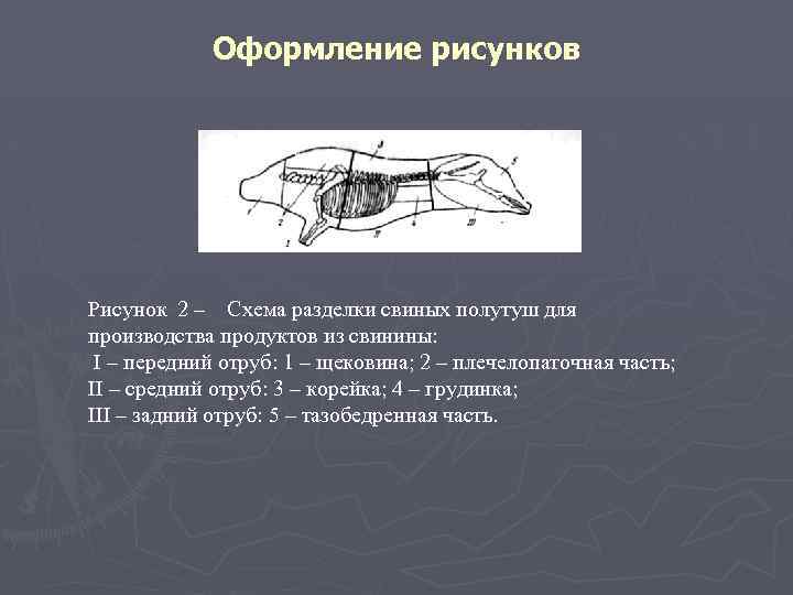 Оформление рисунков Рисунок 2 – Схема разделки свиных полутуш для производства продуктов из свинины: