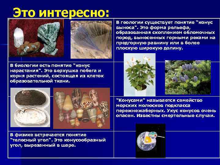 Это интересно: В геологии существует понятие "конус выноса". Это форма рельефа, образованная скоплением обломочных