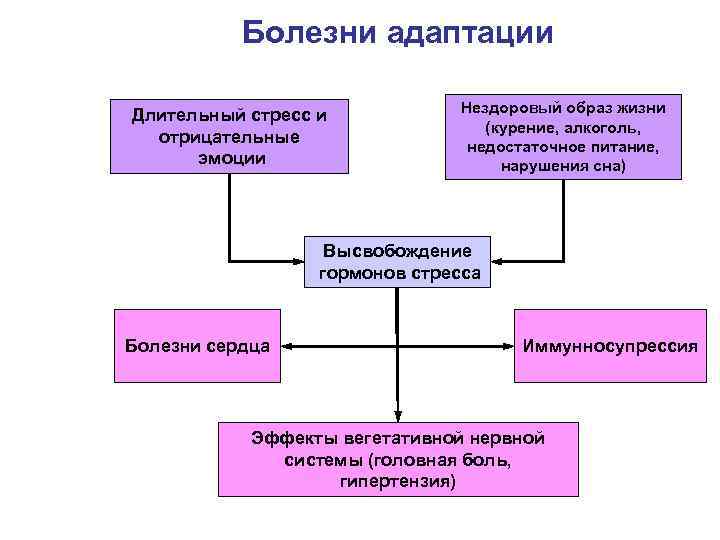 Болезни адаптации Длительный стресс и отрицательные эмоции Нездоровый образ жизни (курение, алкоголь, недостаточное питание,