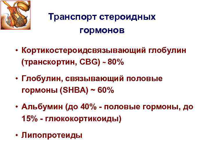 Глобулин связывающий гормон понижен. Специфические транспортные белки транскортин. Транскортин биохимия. Глобулин, связывающий половые гормоны. Транскортин биохимия функции.