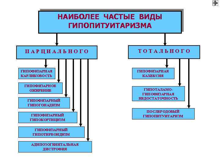 НАИБОЛЕЕ ЧАСТЫЕ ВИДЫ ГИПОПИТУИТАРИЗМА ПАРЦИАЛЬНОГО ГИПОФИЗАРНАЯ КАРЛИКОВОСТЬ ГИПОФИЗАРНОЕ ОЖИРЕНИЕ ГИПОФИЗАРНЫЙ ГИПОГОНАДИЗМ ГИПОФИЗАРНЫЙ ГИПОКОРТИЦИЗМ ГИПОФИЗАРНЫЙ