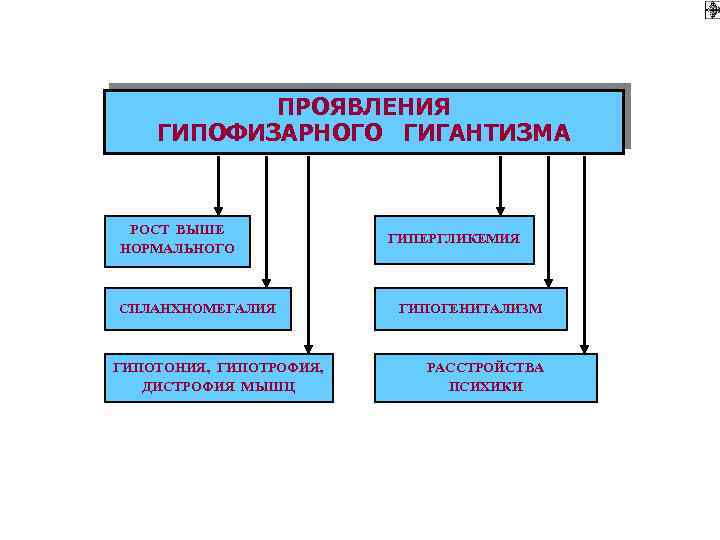 ПРОЯВЛЕНИЯ ГИПОФИЗАРНОГО ГИГАНТИЗМА РОСТ ВЫШЕ НОРМАЛЬНОГО СПЛАНХНОМЕГАЛИЯ ГИПОТОНИЯ, ГИПОТРОФИЯ, ДИСТРОФИЯ МЫШЦ ГИПЕРГЛИКЕМИЯ ГИПОГЕНИТАЛИЗМ РАССТРОЙСТВА