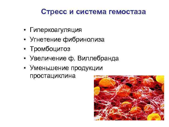 Стресс и система гемостаза • • • Гиперкоагуляция Угнетение фибринолиза Тромбоцитоз Увеличение ф. Виллебранда