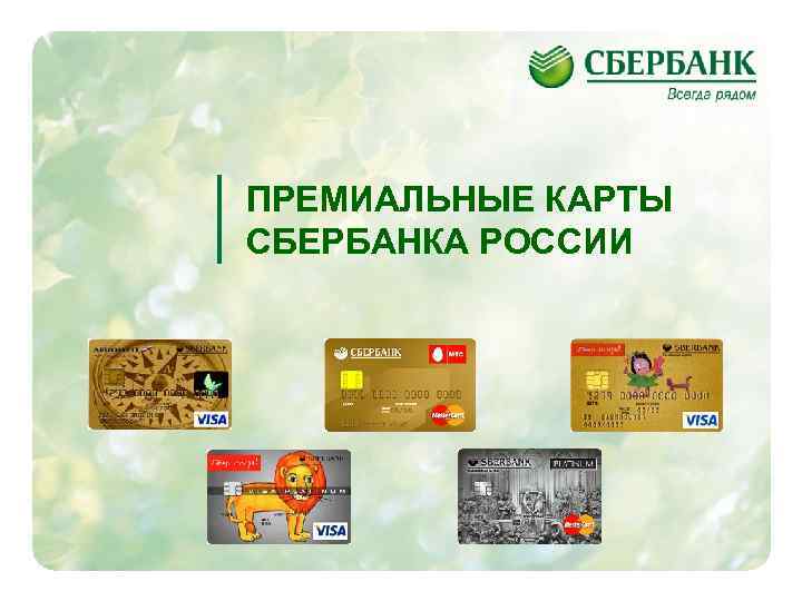 Мир premium карта