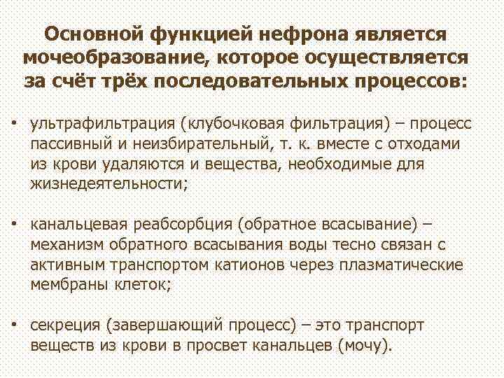 Основной функцией нефрона является мочеобразование, которое осуществляется за счёт трёх последовательных процессов: • ультрафильтрация
