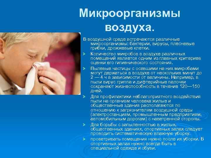 Микроорганизмы воздуха. В воздушной среде встречаются различные микроорганизмы: бактерии, вирусы, плесневые грибки, дрожжевые клетки.