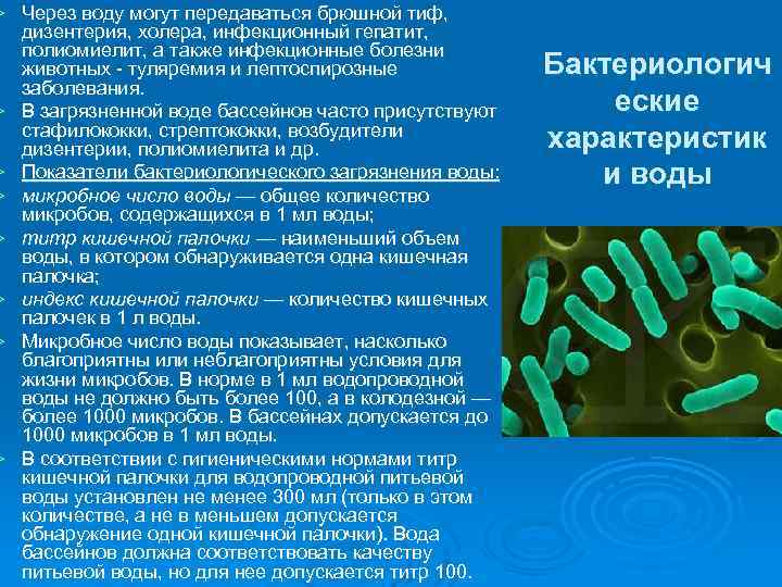 Ø Через воду могут передаваться брюшной тиф, дизентерия, холера, инфекционный гепатит, полиомиелит, а также