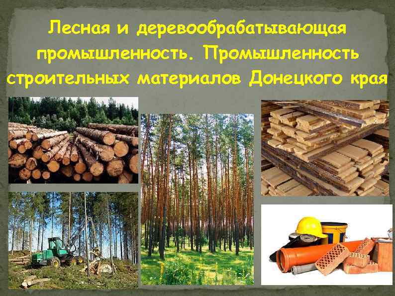 Лесная и деревообрабатывающая промышленность. Промышленность строительных материалов Донецкого края 