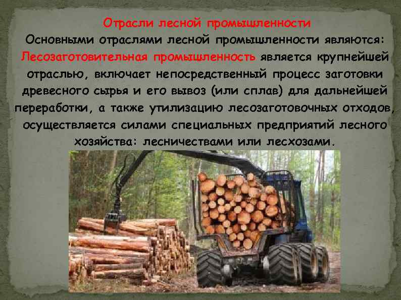 Отрасли лесной промышленности Основными отраслями лесной промышленности являются: Лесозаготовительная промышленность является крупнейшей отраслью, включает
