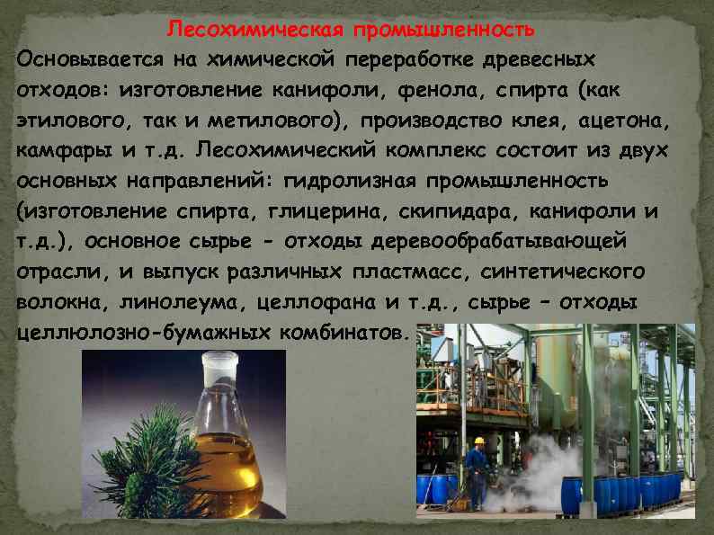 Лесохимическая промышленность Основывается на химической переработке древесных отходов: изготовление канифоли, фенола, спирта (как этилового,
