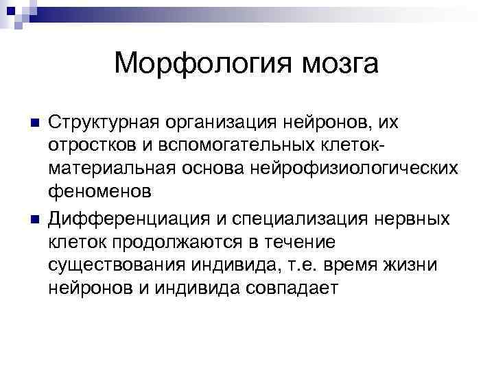 Морфология мозга n n Структурная организация нейронов, их отростков и вспомогательных клетокматериальная основа нейрофизиологических