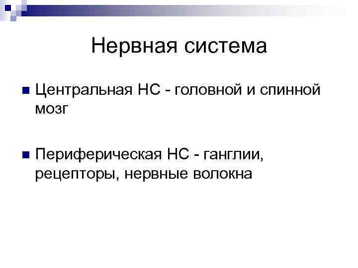 Нервная система n Центральная НС - головной и спинной мозг n Периферическая НС -