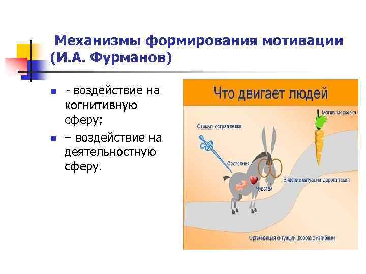  Механизмы формирования мотивации (И. А. Фурманов) n n - воздействие на когнитивную сферу;