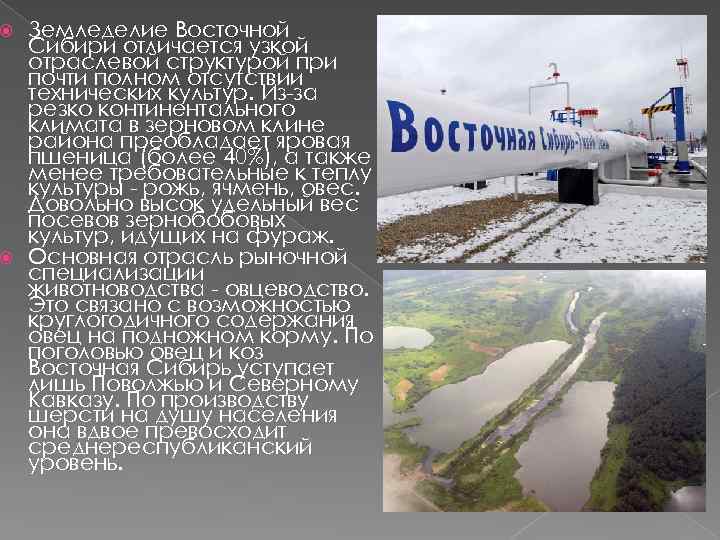 Хозяйство восточной сибири кратко