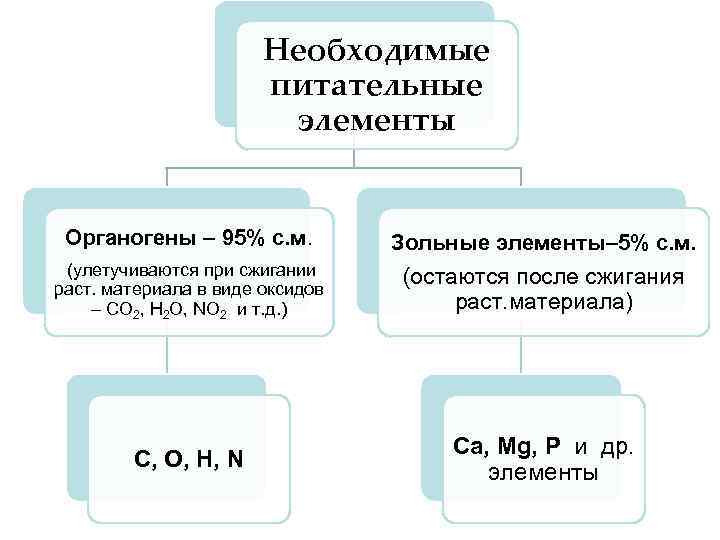 Органогены. Элементы органогены. Основные элементы органогены. Зольные элементы. Перечислите органогенные элементы.