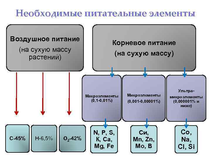 Необходимые питательные элементы Воздушное питание (на сухую массу растений) Корневое питание (на сухую массу)