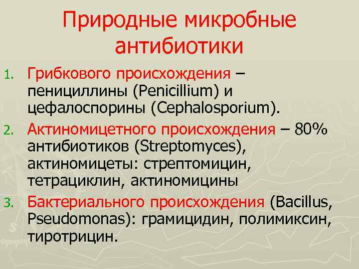 Природные микробные антибиотики Грибкового происхождения – пенициллины (Penicillium) и цефалоспорины (Cephalosporium). 2. Актиномицетного происхождения